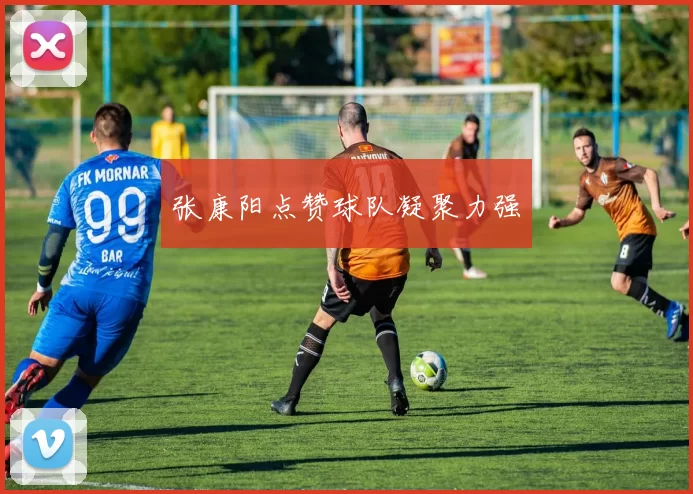 张康阳点赞球队凝聚力强
