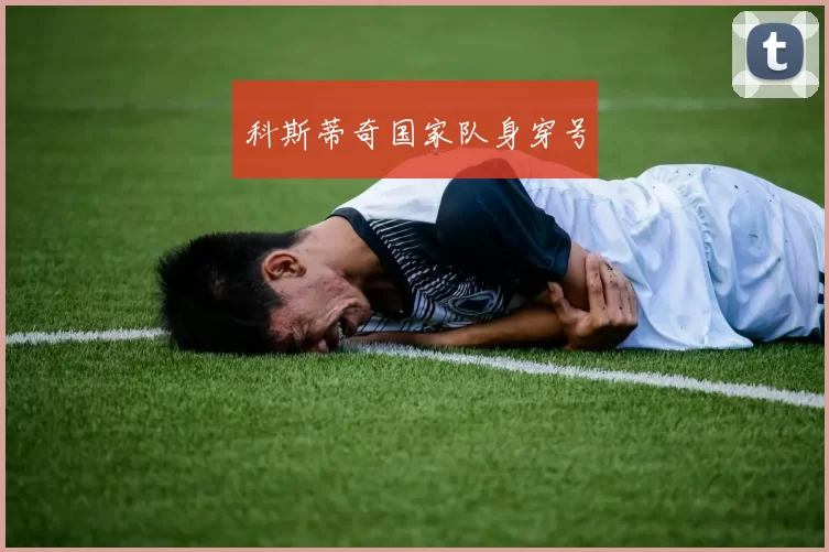 科斯蒂奇国家队身穿号