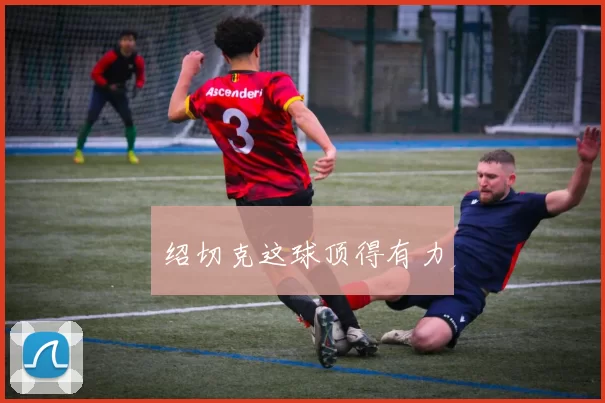 绍切克这球顶得有力