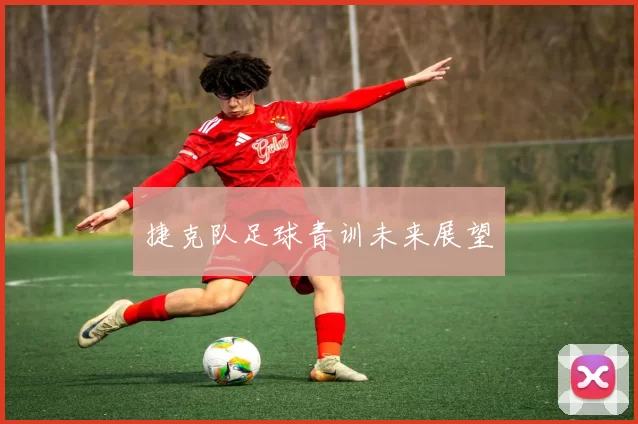 捷克队足球青训未来展望