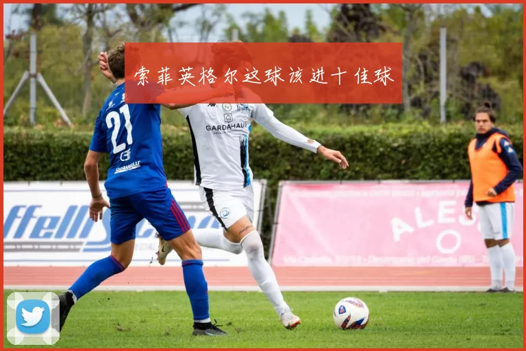 索菲英格尔这球该进十佳球