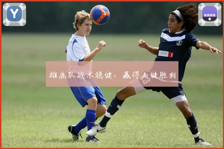 雄鹿队战术稳健，赢得关键胜利