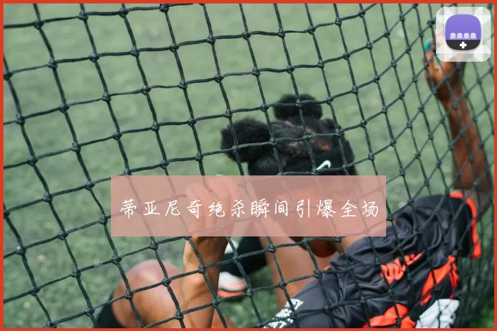 蒂亚尼奇绝杀瞬间引爆全场