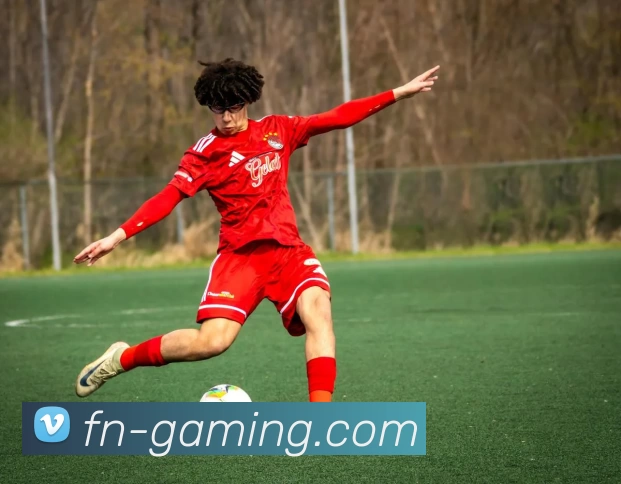 FN电竞游戏平台生态图