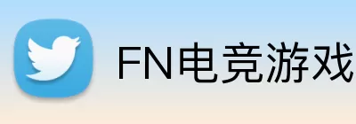FN电竞游戏 Logo